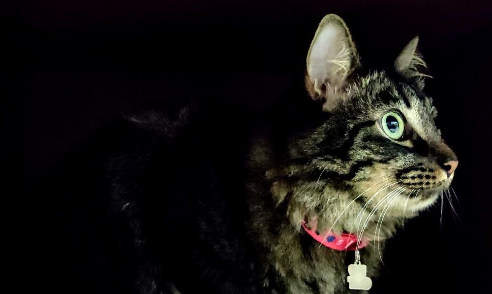 Photograph by samuel celegatti