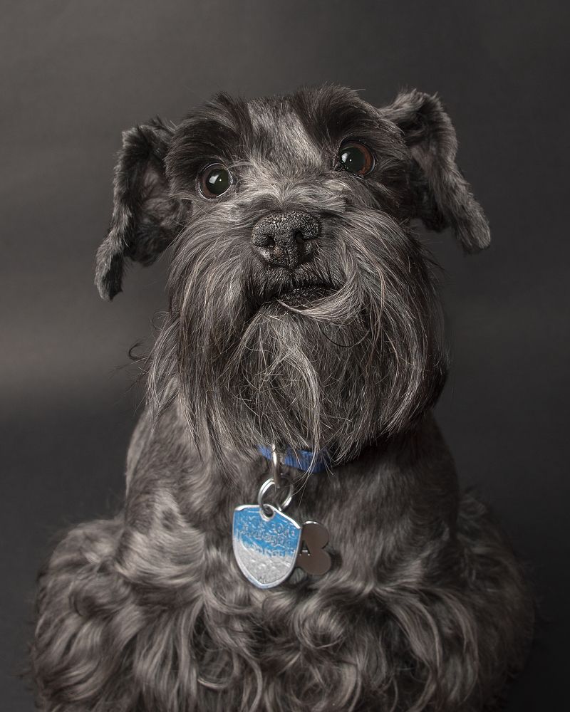 Photograph by Aлена Плясова