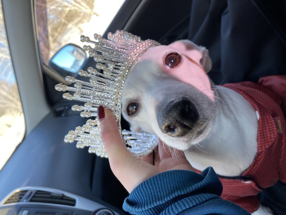 Photograph by Дарья Ильина