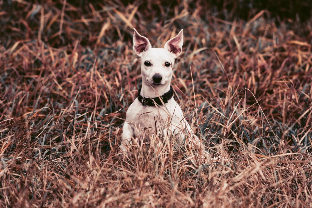 Photograph by Дарья Ильина