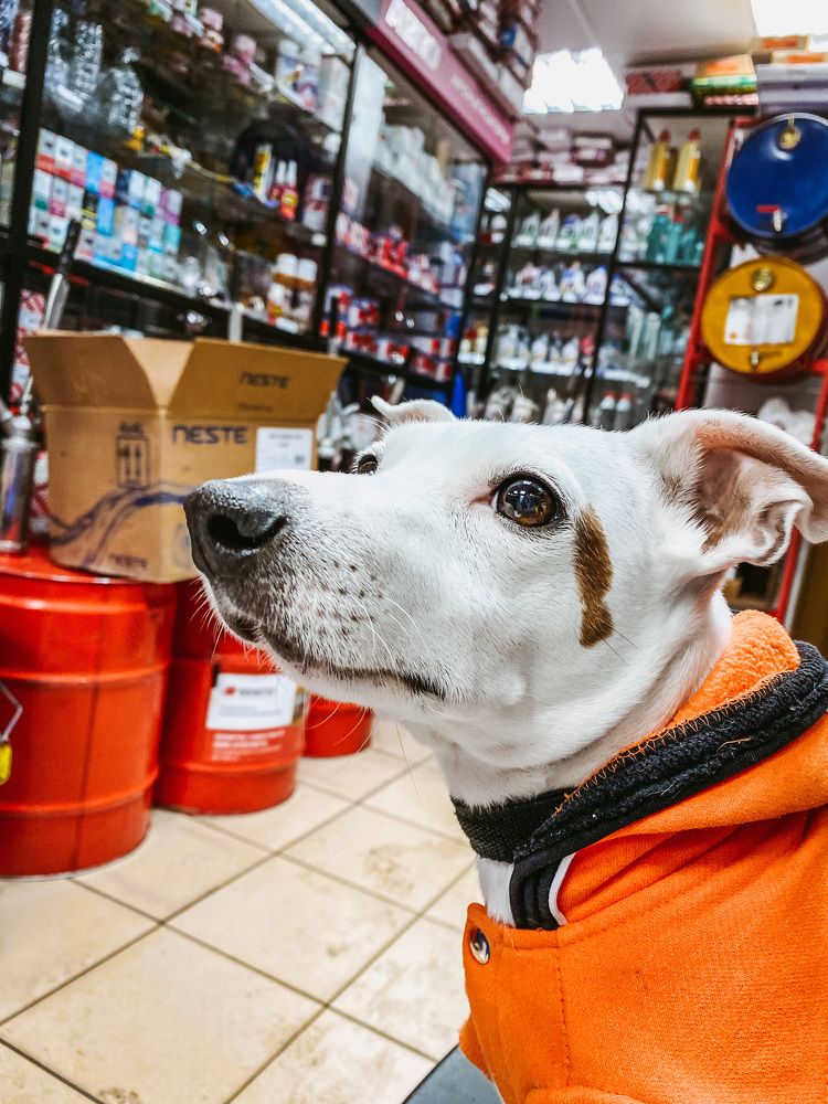 Photograph by Дарья Ильина