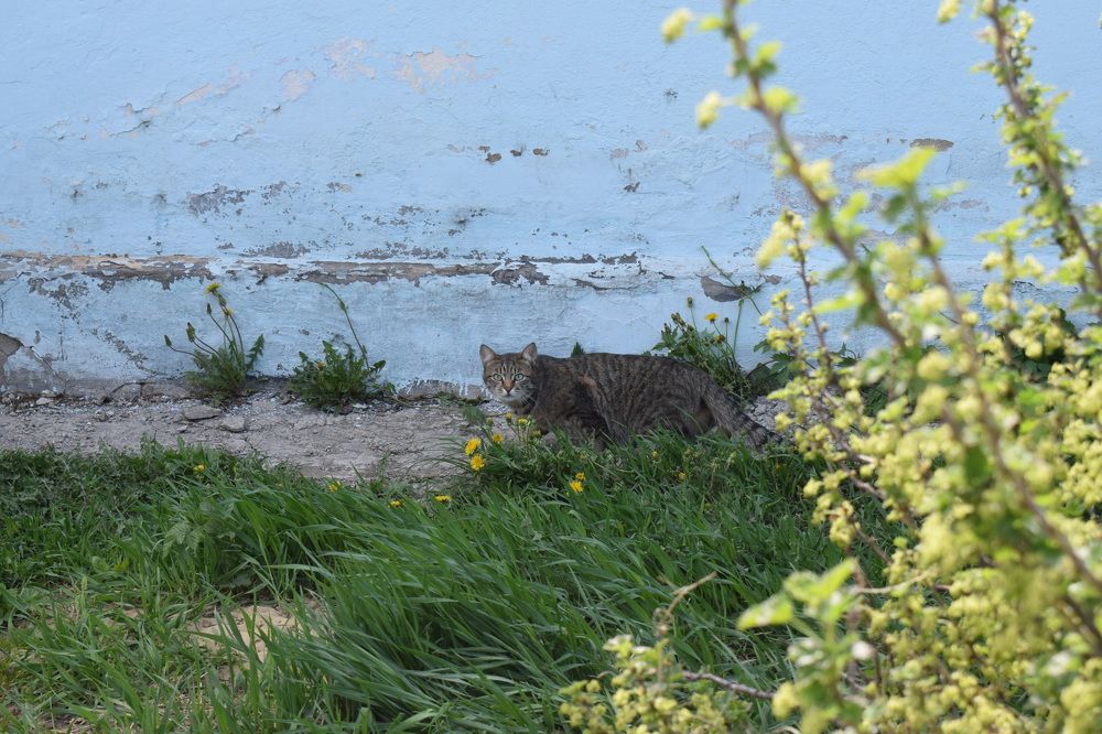 Photograph by Ekaterina