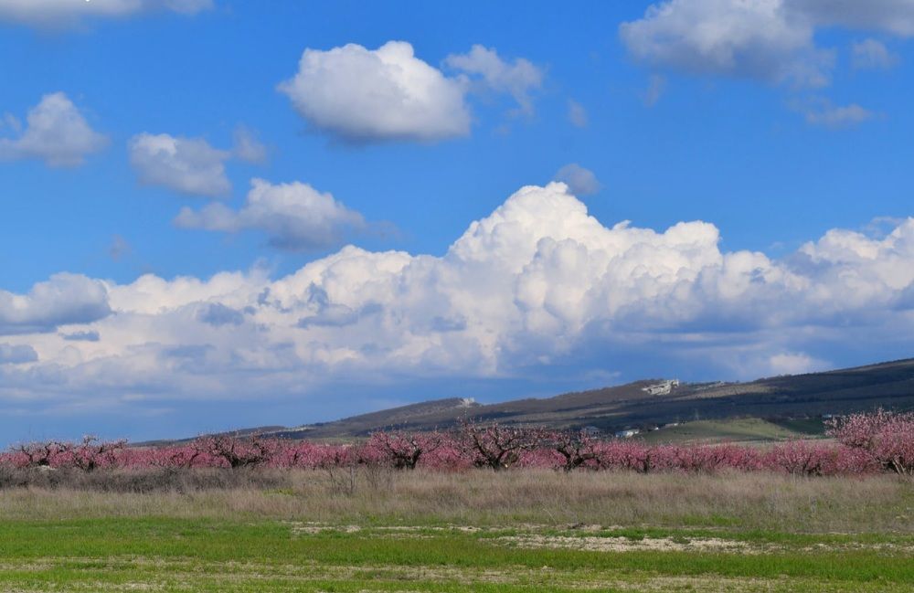 Photograph by Екатерина Гордеева