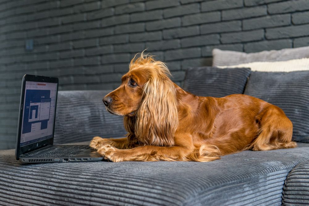 Photograph by Юлия Исковских