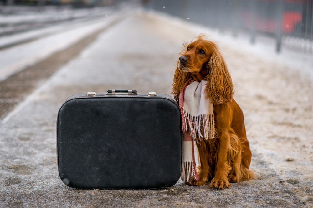 Photograph by Юлия Исковских