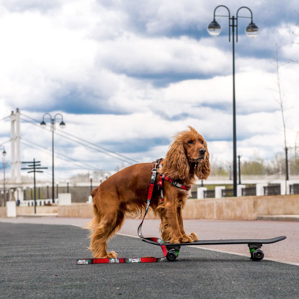 Photograph by Юлия Исковских