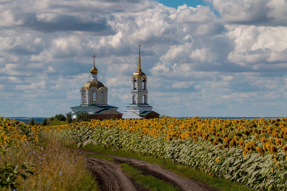 Photograph by Алексей Юденков