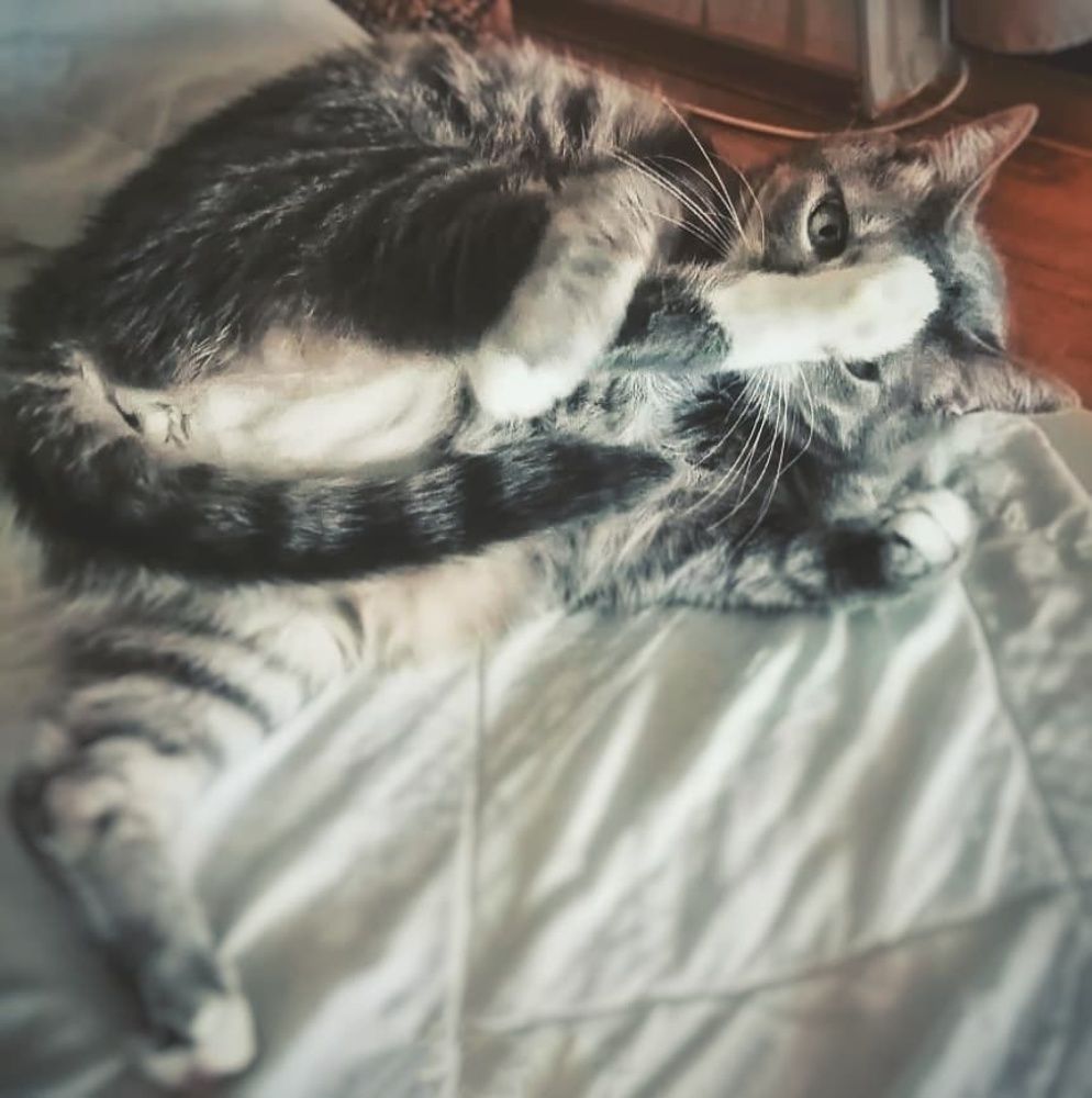 Photograph by Natalija Bucinska