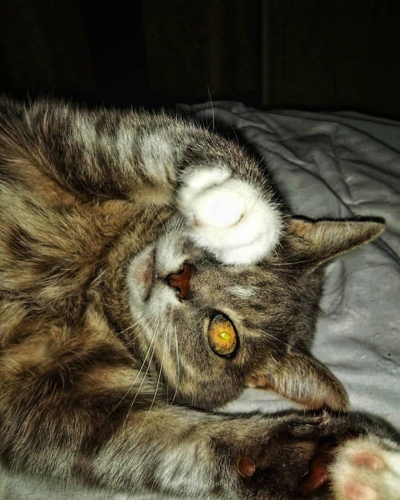 Photograph by Natalija Bucinska