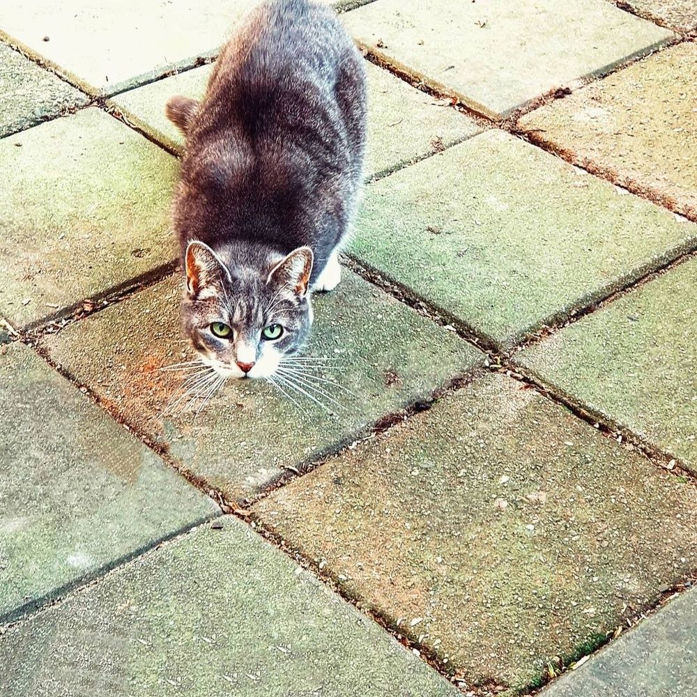 Photograph by Natalija Bucinska