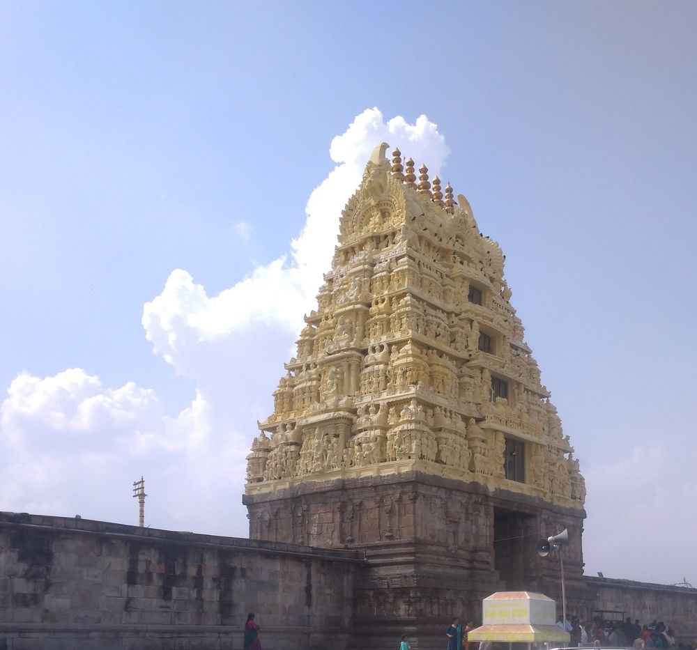 Photograph by Sajal Menon