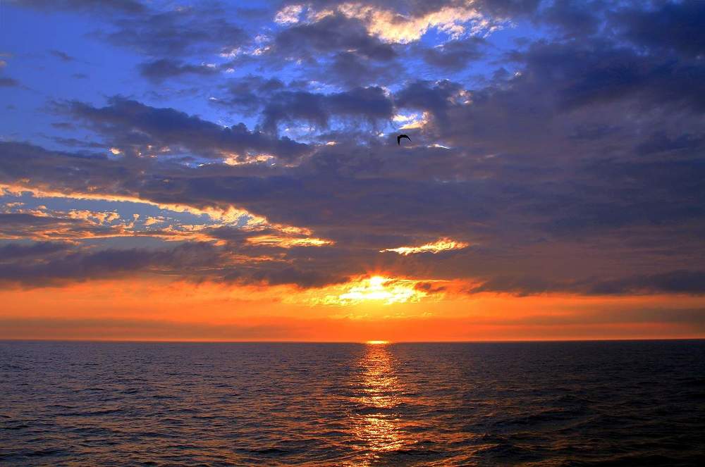 Photograph by Николай Шумилов