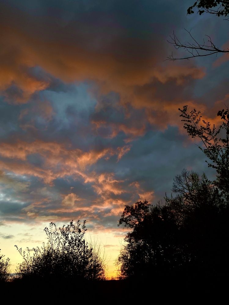 Photograph by Анастасия Комкова