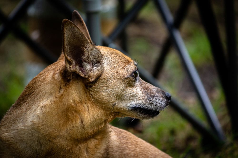 Photograph by Анатолий Чупрынин