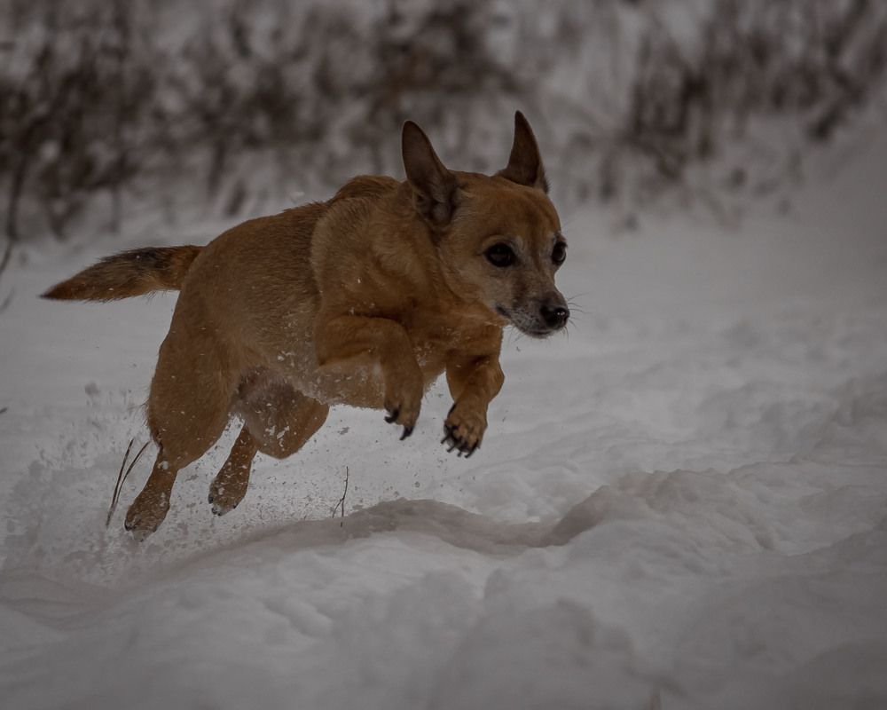 Photograph by Анатолий Чупрынин
