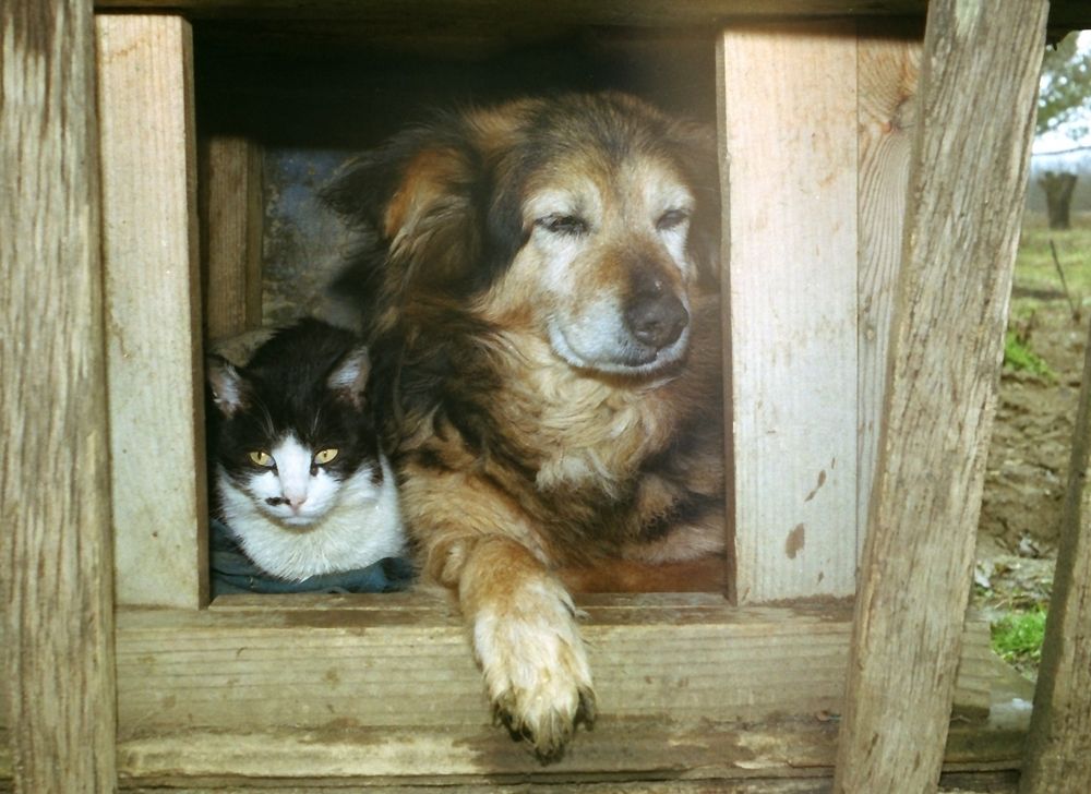 Когда на улице дождь