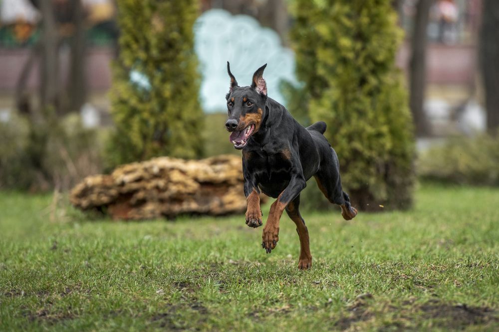 Photograph by Виола Поликарпова