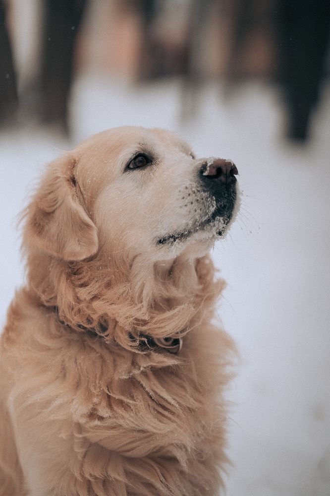 Photograph by Анна Егорова