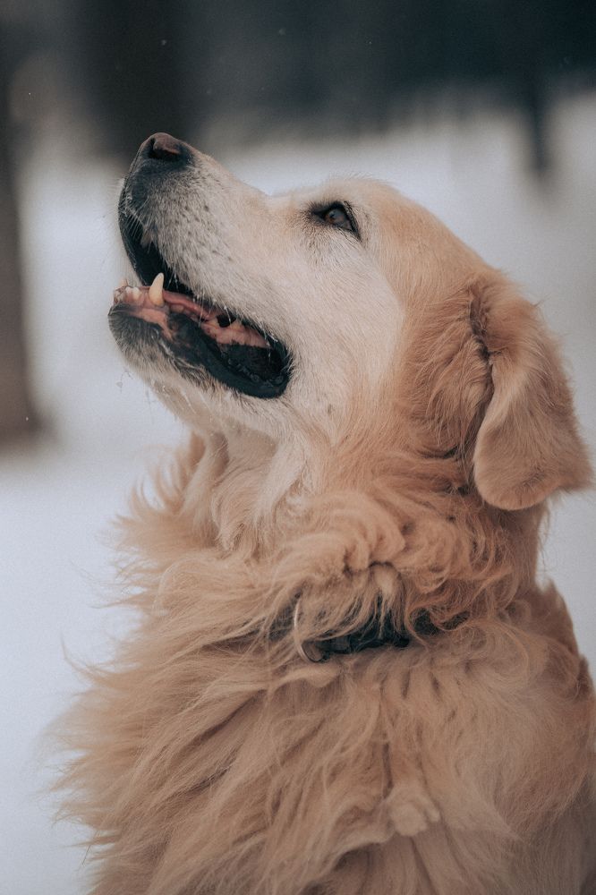 Photograph by Анна Егорова