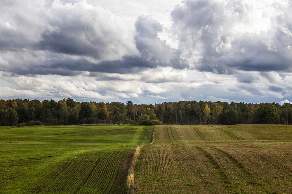 Photograph by Normunds Kaprano