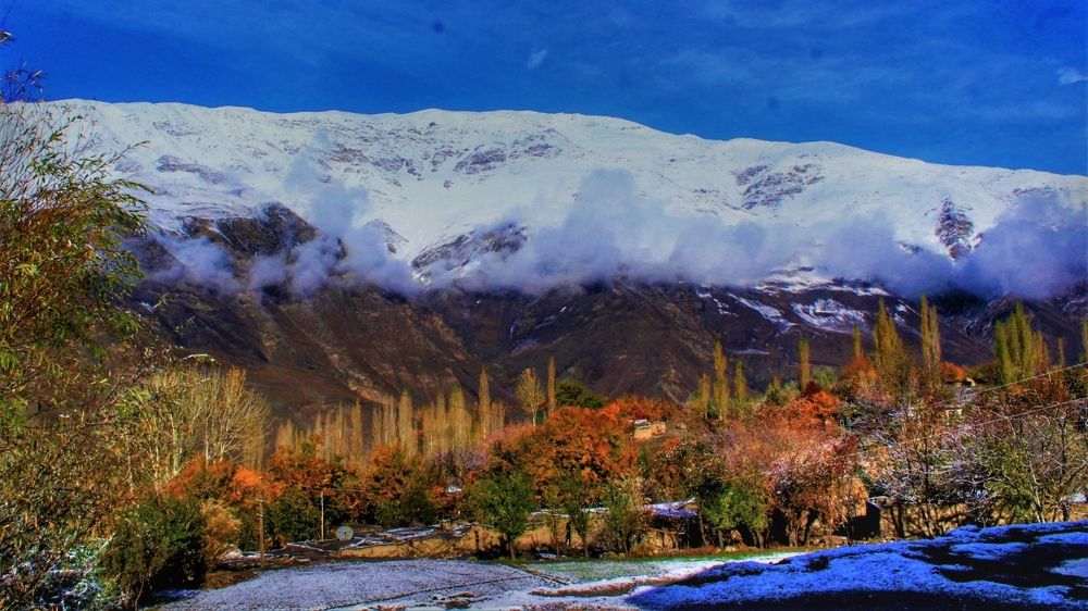 Photograph by MOHAMMAD ASHFAQ