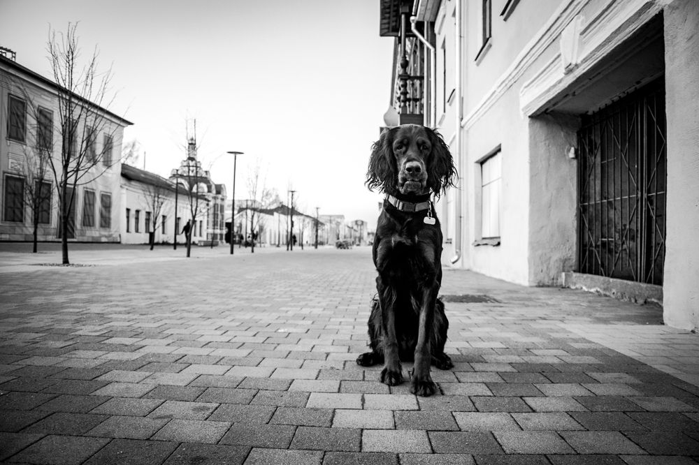 Photograph by Рогова Наталья