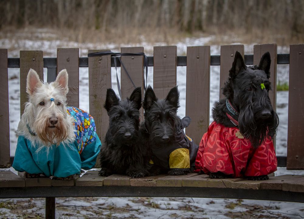 Photograph by Katja Sen