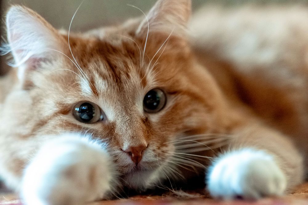 Photograph by Марина Стротова