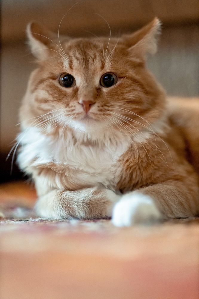 Photograph by Марина Стротова