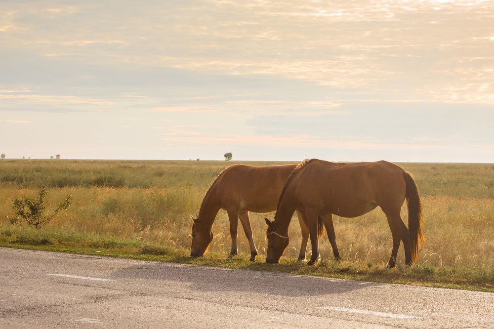Фотография автора Галина Луценко