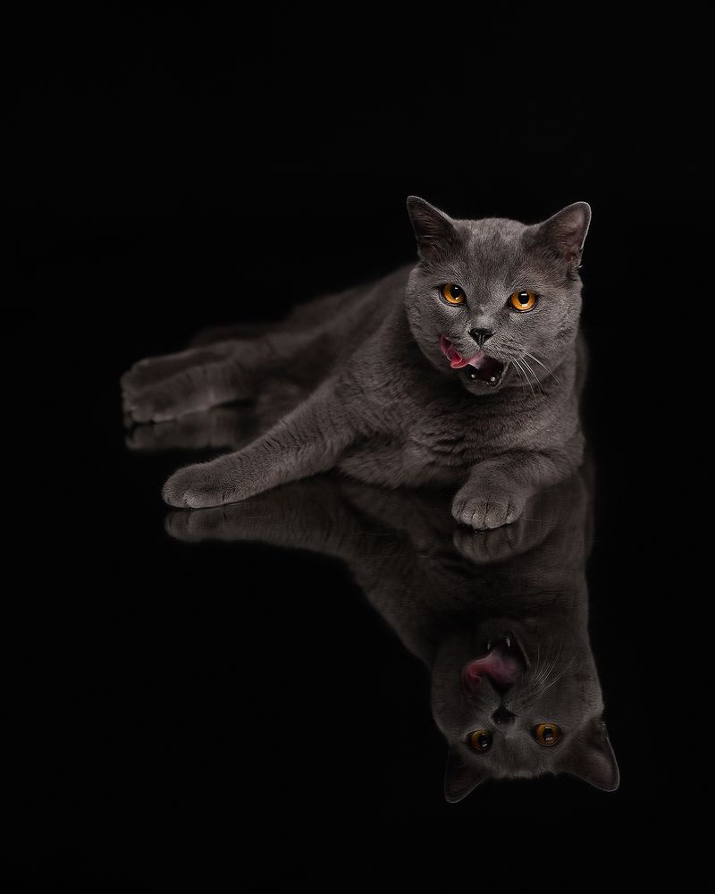 Photograph by Татьяна Кам