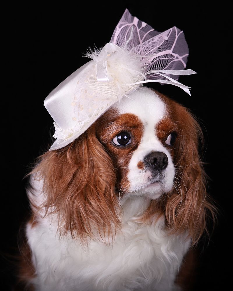 Photograph by Титаренко Ольга