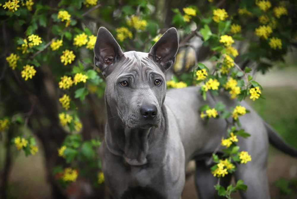 Photograph by Титаренко Ольга