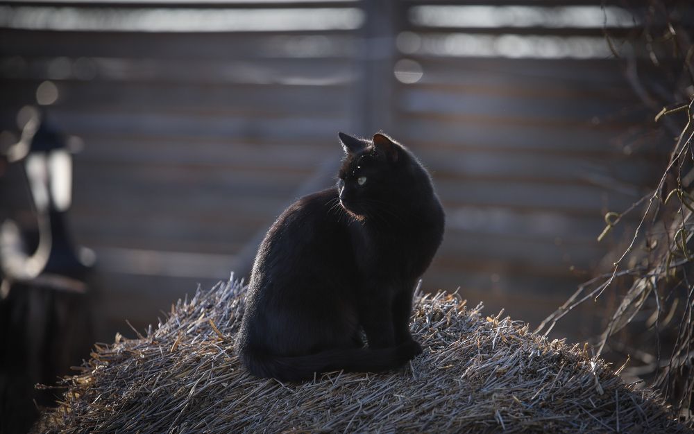 Photograph by Титаренко Ольга
