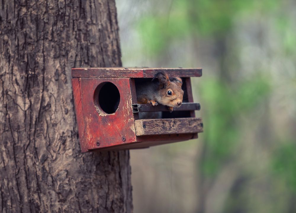 Photograph by Сергей Здерев