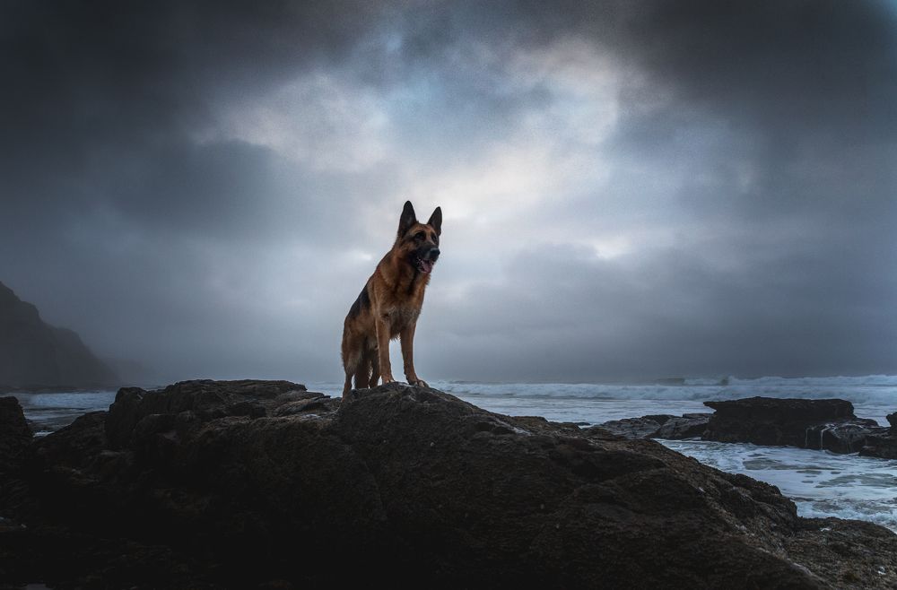 Photograph by Alexandre Marques