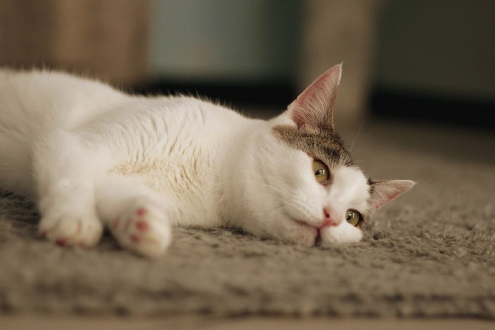 Photograph by Анастасия Моисеева