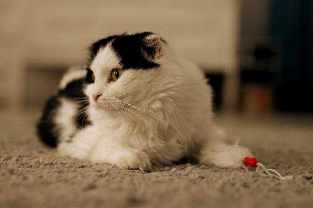 Photograph by Анастасия Моисеева