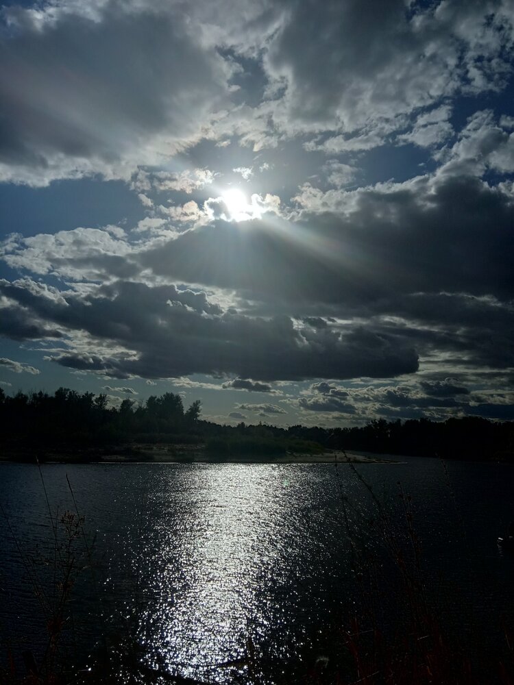 Photograph by Людмила Селезнева