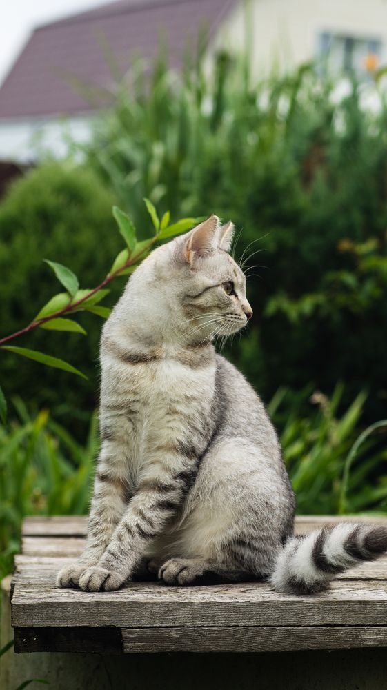 Photograph by Евгений Калагаев