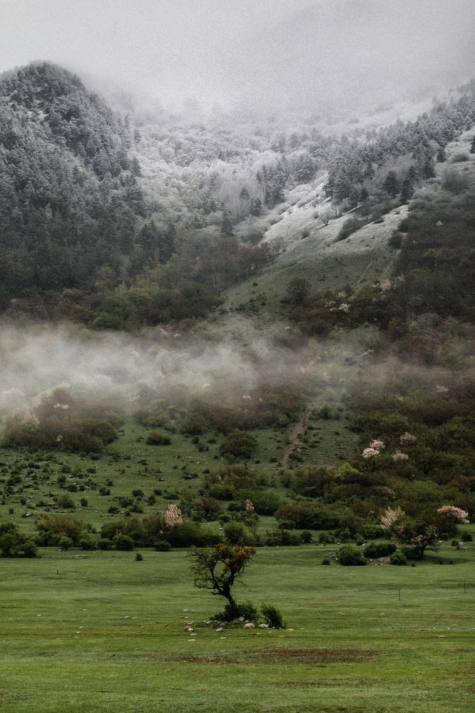 Photograph by Марина Бондаренко