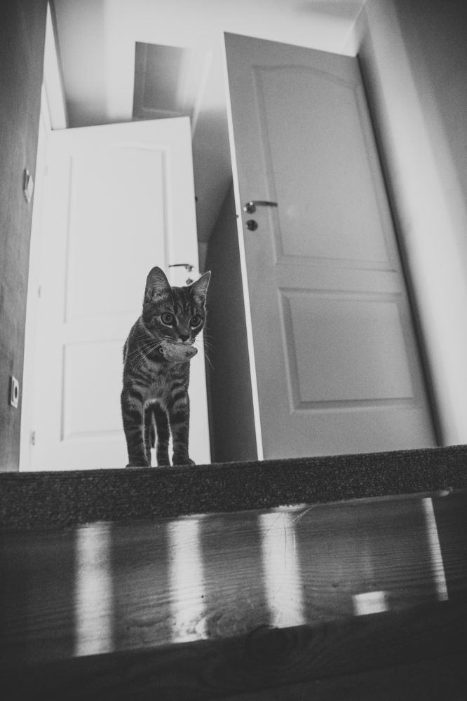 Photograph by Ligita Kluga