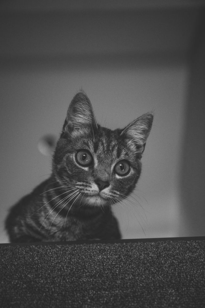 Photograph by Ligita Kluga