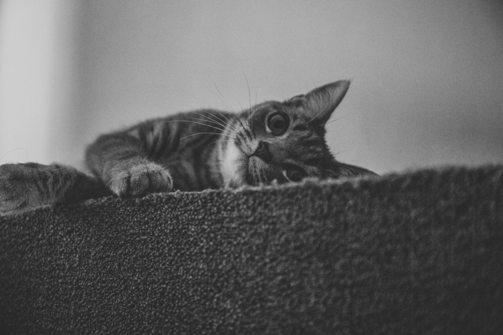 Photograph by Ligita Kluga