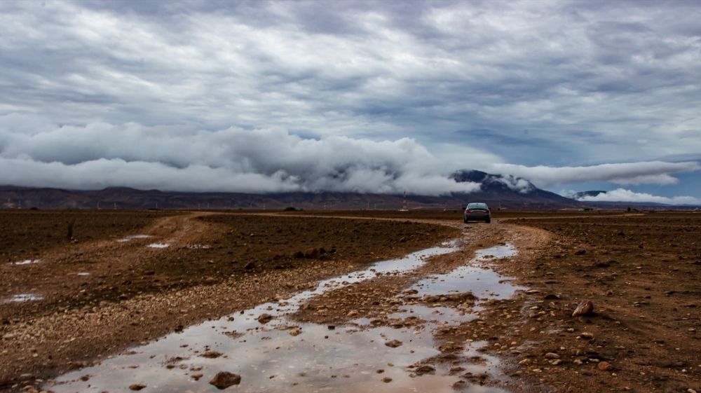 Photograph by AMARDEEP SINGH