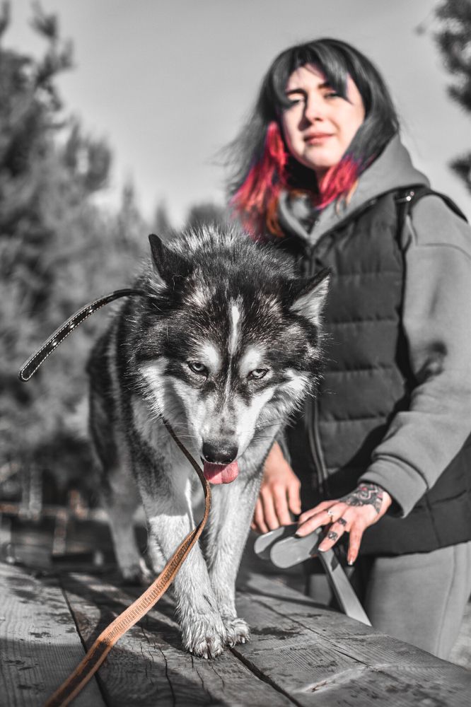 Photograph by Владислав Видилин