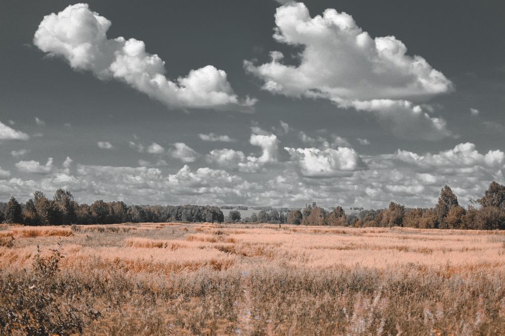 Photograph by Владислав Видилин