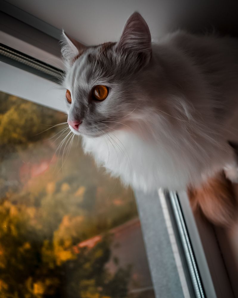 Photograph by Владислав Видилин