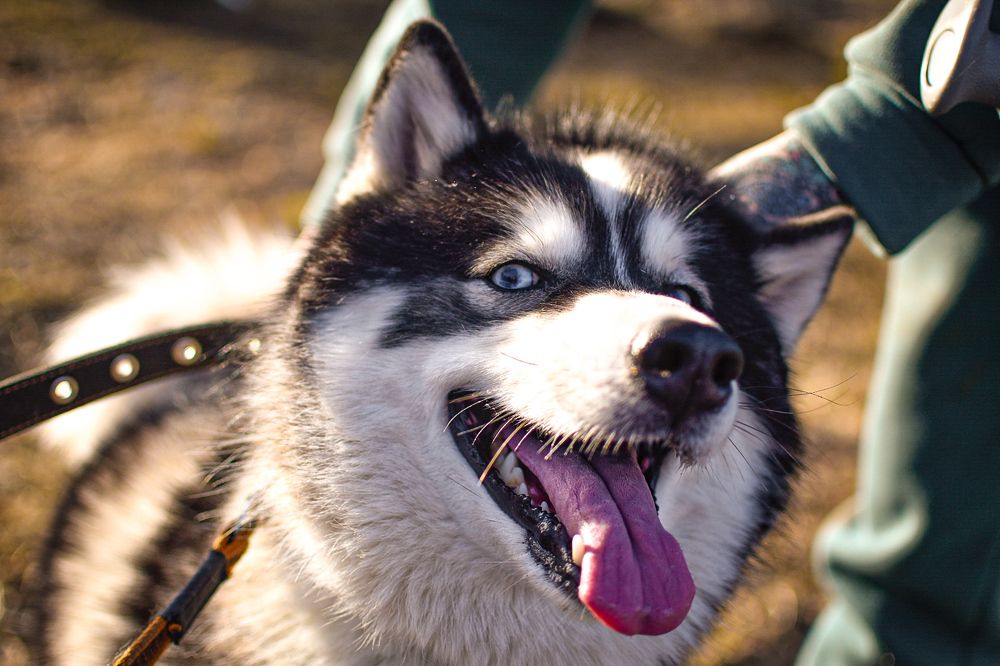 Photograph by Владислав Видилин