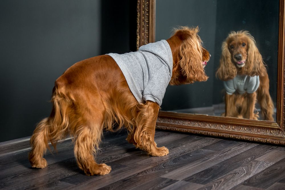 Photograph by Юлия Исковских